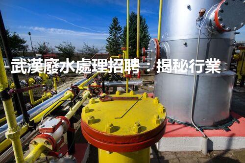 武漢廢水處理招聘：揭秘行業(yè)內(nèi)幕，你不明白的就業(yè)機(jī)會？